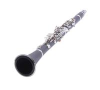 Clarinetto per principianti Clarinetto Da Concerto In Legno