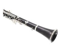 Clarinetto per principianti Clarinetto Tedesco Clarinetto Si Bemolle Strumento 17 Tasti Clarinetto Entry Level Per Principianti In Bachelite