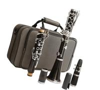 Clarinetto per principianti Strumento Per Clarinetto Clarinetto In Legno Sintetico Si Bemolle 17 Tasti In Rame Bianco