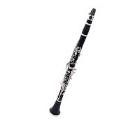 Clarinetto per principianti Strumento Per Clarinetto Si Bemolle Strumento Per Clarinetto A 17 Tasti Studente Junior Che Suona Guanti In Bachelite Pulire Un Panno