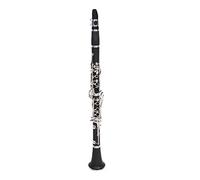 Clarinetto professionale Appartamento B Addominali Clarinetto Clarinetto Placcato Argento Crorinetto Per Clarinetto Di Bakelite clarinetto
