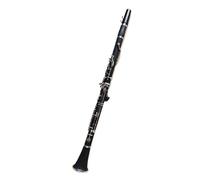 Clarinetto Professionale Clarinetto G Tune 20 Tasti In Resina ABS, Materiale Per Bambini, Chiavi Placcate In Nichel