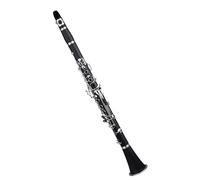 Clarinetto Professionale Clarinetto per principianti accordato in Sib con custodia utensile per la vite dell'ancia panno per la pulizia taglierino tampone per i denti accessori