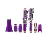 clarinetto professionale Clarinetto professionale a 17 tasti in Sib piatto con custodia guanti custodia in tessuto ance da 10 pezzi colore viola