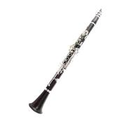 Clarinetto Professionale Clarinetto Sib a 18 tasti finitura argentata di qualità da concerto