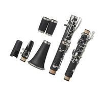 Clarinetto professionale in Sib 17 tasti in bachelite nera con custodia per strumenti a fiato per gli amanti della musica Strumento Clarinetto
