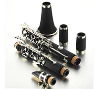 Clarinetto Professionale Principianti Che Suonano Grado Test Clarinetto Si Bemolle Strumento A Fiato Clarinetto Per Principianti