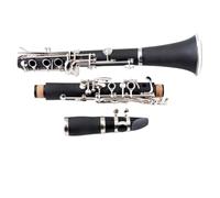 clarinetto professionale Strumento per clarinetto piatto in si bemolle clarinetto piatto in bachelite esame per principianti prestazione professionale
