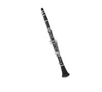 Clarinetto Professionale Un Clarinetto In Sib A 17 Tasti È Adatto Ai Principianti E A Coloro Che Stanno Sostenendo Gli Esami