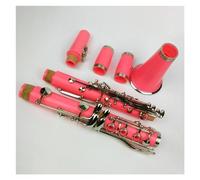 Clarinetto Rosa 17 Tasti Tono Sib Corpo In ABS Chiavi Placcate In Nichel Clarinetto Con Custodia Per Il Trasporto Clarinetto per Principianti