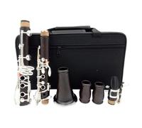 clarinetto Si bemolle 17 chiavi chiavi placcate argento Clarinetto Legno composito Buon materiale e suono