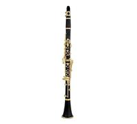 Clarinetto Strumenti A Fiato Professionali In Legno Di Bachelite Per Clarinetto Piatto B Con Accessori Per Custodia Per Il Trasporto Del Timbro