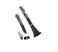 Clarinetto Strumento A Fiato In Stile Tedesco Chiave G 20 Tasti Clarinetto In Legno Naturale Di Ebano