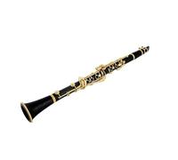 clarinetto Strumento A Fiato Professionale In Bachelite Per Clarinetto In Chiave B Bellissimo Tono Con Accessori Portatili