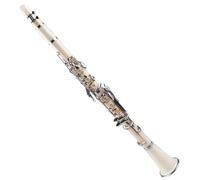 Clarinetto Strumento Clarinetto In ABS Tono Bb Kit Per Clarinetto A 17 Chiavi In cupronichel Placcato Nichel Con Ance Per Clarinetto E Custodia (Color : White)