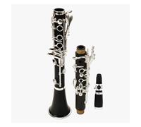 Clarinetto Strumento Clarinetto In Si Bemolle A Otto Cifre Con Colonna A Vite, Clarinetto In Resina ABS A 17 Tasti Placcato Argento Con Scatola Portaoggetti