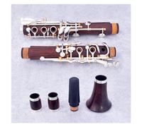 Clarinetto Strumento Clarinetto Professionale In Legno Di Cocobolo C Tune 17 Chiavi Chiavi Placcate Argento Clarinetto Con Accessori