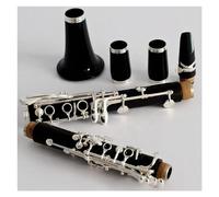 Clarinetto Strumento Clarinetto Standard Corpo In Ebano Placcato Argento Tasti 17 Tasti Per Clarinetto In Sib Con Custodia