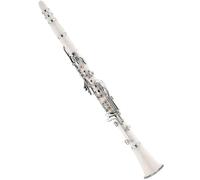 Clarinetto Strumento Corpo In Plastica ABS Bianca Chiavi Placcate In Nichel Clarinetto 17 Tasti Clarinetto Tono BB Con Custodia E Accessori