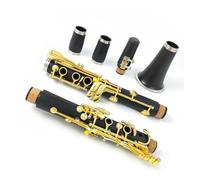Clarinetto Strumento Corpo In Tubo Di Resina ABS Laccato/placcato In Nichel Oro 17 Tasti Clarinetto In Sib Con Custodia Per Clarinetto