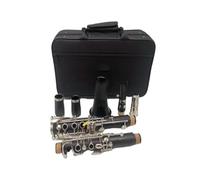 clarinetto strumento musicale Banda per esami per principianti che suona il clarinetto 17 Key Falling Tune B/materiale del corpo del tubo in bachelite Clarinetto Strumento a fiato