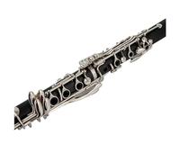 clarinetto strumento musicale Buon materiale e suono Clarinetto 17 Key Falling Tune B/materiale del corpo del tubo in bachelite Clarinetto Strumento a fiato