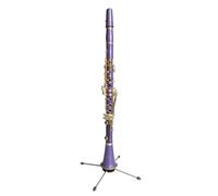 clarinetto strumento musicale Clarinetto a 17 tasti in Sib Clarinetto in ABS colorato con corpo(Purple)