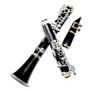 clarinetto strumento musicale Clarinetto ABS 17 tasti Sib (placcato argento + placcato oro).