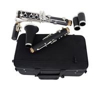 clarinetto strumento musicale Clarinetto B piatto elegante nero 17 tasti strumento a fiato di livello professionale