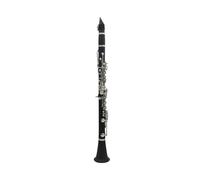 clarinetto strumento musicale Clarinetto B piatto nero tubo 17 tasti fascia scolastica con bottoni in rame bianco