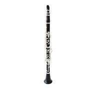 clarinetto strumento musicale Clarinetto BB professionale a 18 tasti Clarinetto in ebano Il suono potente mostra un aspetto elegante