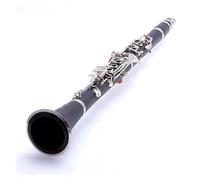 clarinetto strumento musicale Clarinetto Clarinetto professionale in si bemolle 17 tasti Strumenti ABS placcati argento Clarinetto per principianti
