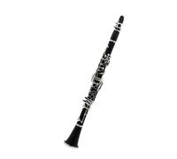 clarinetto strumento musicale Clarinetto Clarinetto tenore per strumento a fiato professionale a 17 tasti