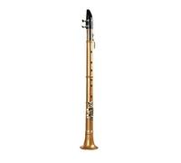 clarinetto strumento musicale Clarinetto contralto Principiante adulto Mini strumento musicale occidentale Prestazioni eccellenti(Gold)