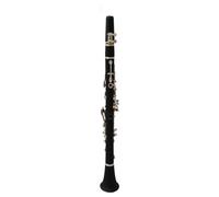 clarinetto strumento musicale Clarinetto di alta qualità in ABS mi bemolle a 17 tasti Clarinetto di livello professionale Tubo nero