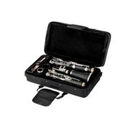clarinetto strumento musicale Clarinetto in bachelite a 17 tasti in Sib. Strumento a fiato. Esame di grado principiante. Suona uno strumento per adulti