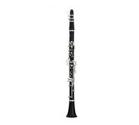 clarinetto strumento musicale Clarinetto in resina ABS a 17 tasti Banda professionale per esame entry-level per principianti adulti che suona uno strumento a fiato nero