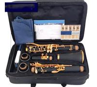 clarinetto strumento musicale Clarinetto in Sib 17 Materiale corpo chiave Clarinetto Melodia cadente B(E101)