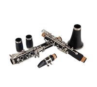 clarinetto strumento musicale Clarinetto in Sib 17 tasti in gomma dura Strumento a fiato professionale in legno Clarinetto tenore Accordatura accurata