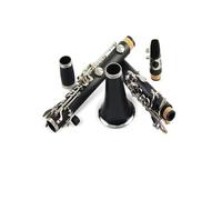 clarinetto strumento musicale Clarinetto per clarinetto a 17 tasti ABS in resina B bemolle per uso generale per principianti ed esami di valutazione