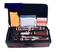 clarinetto strumento musicale Clarinetto professionale in legno rosso palissandro bB placcato oro 17 chiavi non facili da deformare