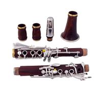 clarinetto strumento musicale Clarinetto professionale in legno rosso palissandro bB placcato oro 17 chiavi