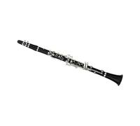 clarinetto strumento musicale Clarinetto si bemolle clarinetto studenti principianti esame universitario musica a fiato professionale