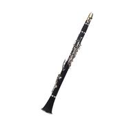 clarinetto strumento musicale Clarinetto Tubo nero in bachelite SI bemolle 17 tasti placcati in argento per principianti performance e grading