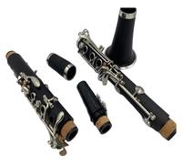 clarinetto strumento musicale Corpo del tubo di facile manutenzione Accordatura in si bemolle Strumenti a fiato professionali Clarinetto Tubo nero con custodia Accessori