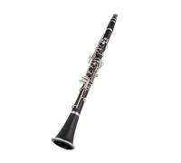 clarinetto strumento musicale Elegante melodia in si bemolle Strumenti a fiato professionali Clarinetto Tubo nero con custodia Accessori