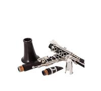 clarinetto strumento musicale Esibizione sul palco dell'esame per clarinetto per clarinetto in Sib piatto singolo a 17 tasti in ebano