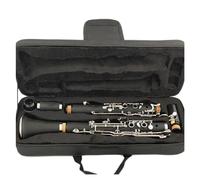 clarinetto strumento musicale G Tune Clarinetto a 20 tasti Materiale corpo in resina ABS nichelato