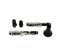 clarinetto strumento musicale Il clarinetto in ebano 18 tasti per lettori professionisti mostra un aspetto elegante