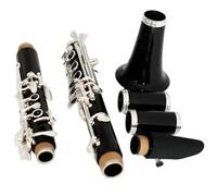 clarinetto strumento musicale Lo strumento professionale per clarinetto in Sib placcato argento in ebano mostra un aspetto elegante